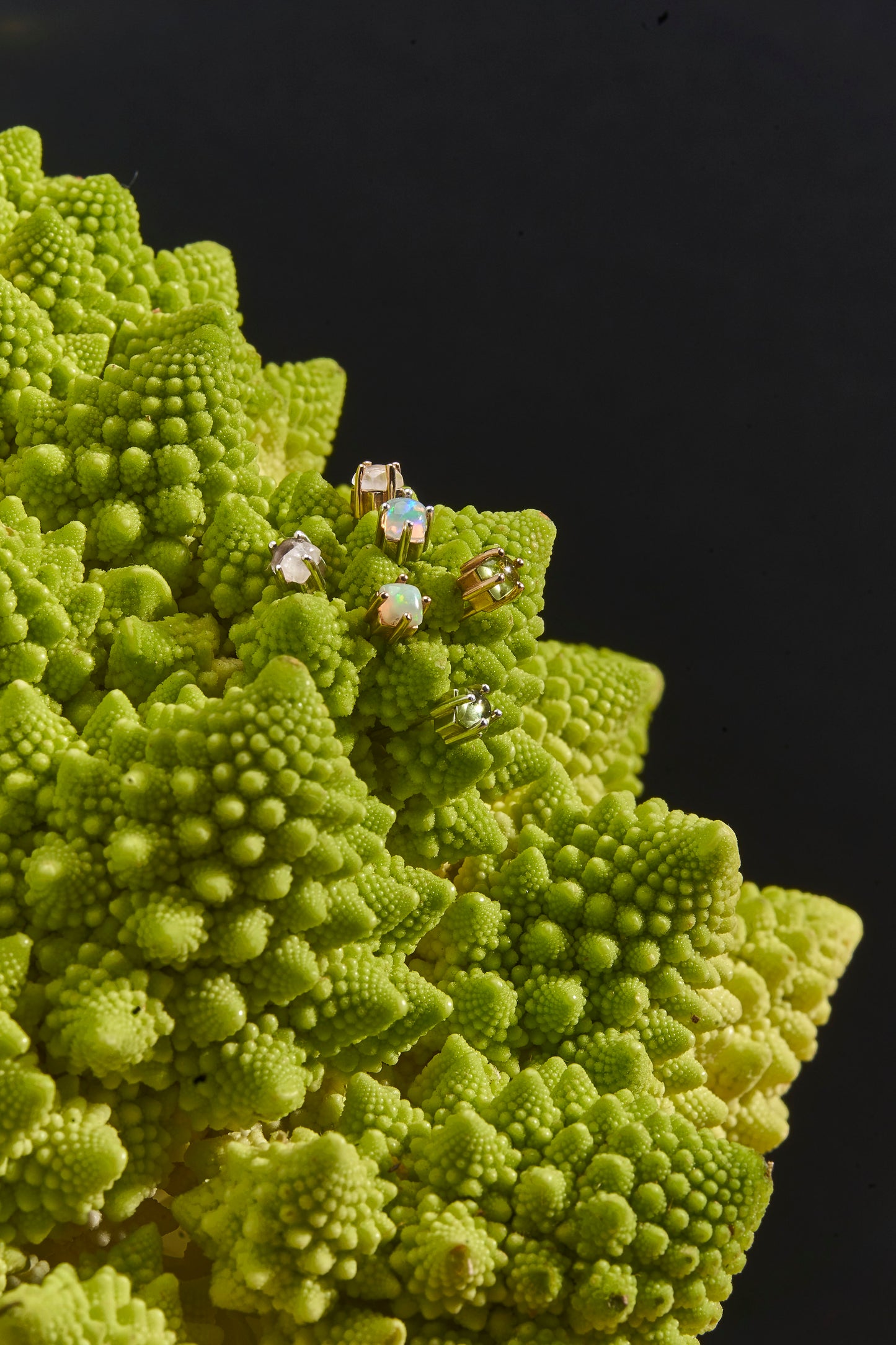 Mav Single Stone Earring in Fire Opal